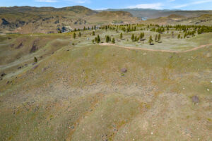 DJI_0523