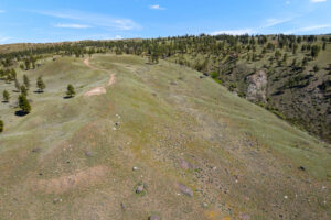 DJI_0528