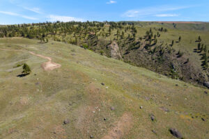 DJI_0530