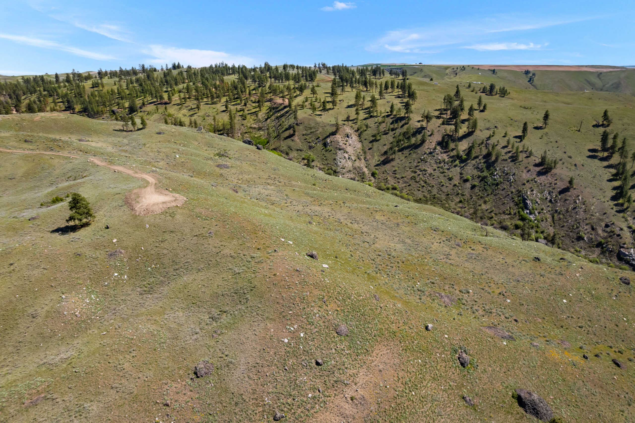 DJI_0530