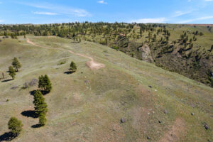 DJI_0531 (1)