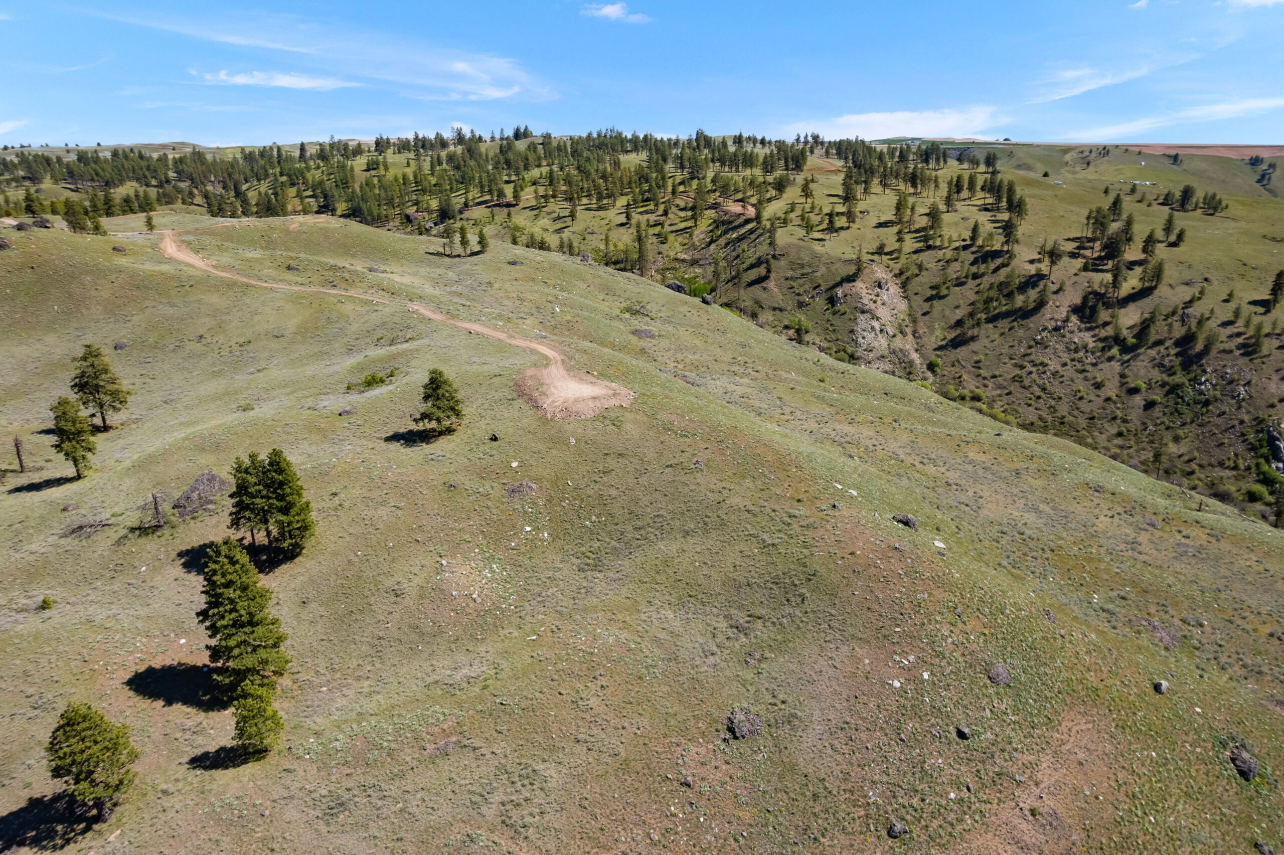 DJI_0531 (1)