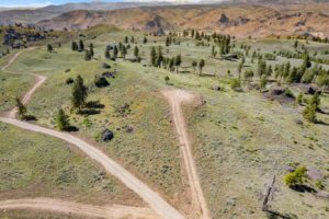 DJI_0542