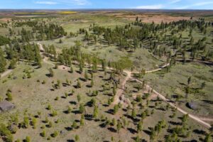 DJI_0562