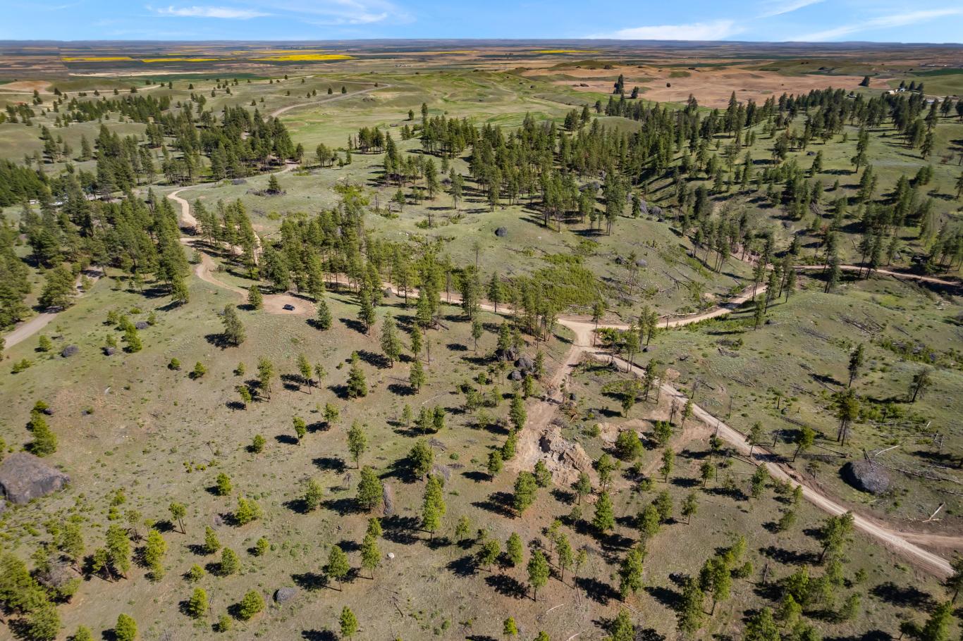 DJI_0562