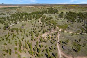 DJI_0563