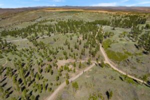 DJI_0564