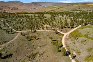 DJI_0566