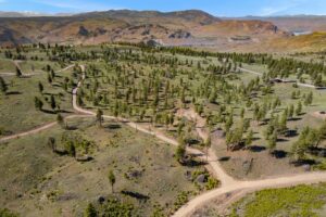 DJI_0567
