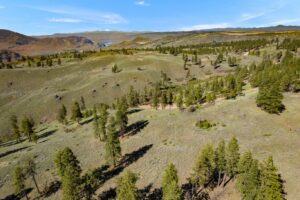 DJI_0570