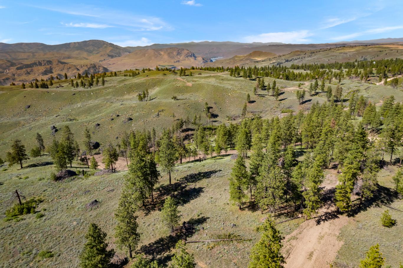 DJI_0571