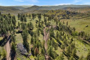 DJI_0574