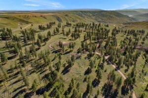 DJI_0579