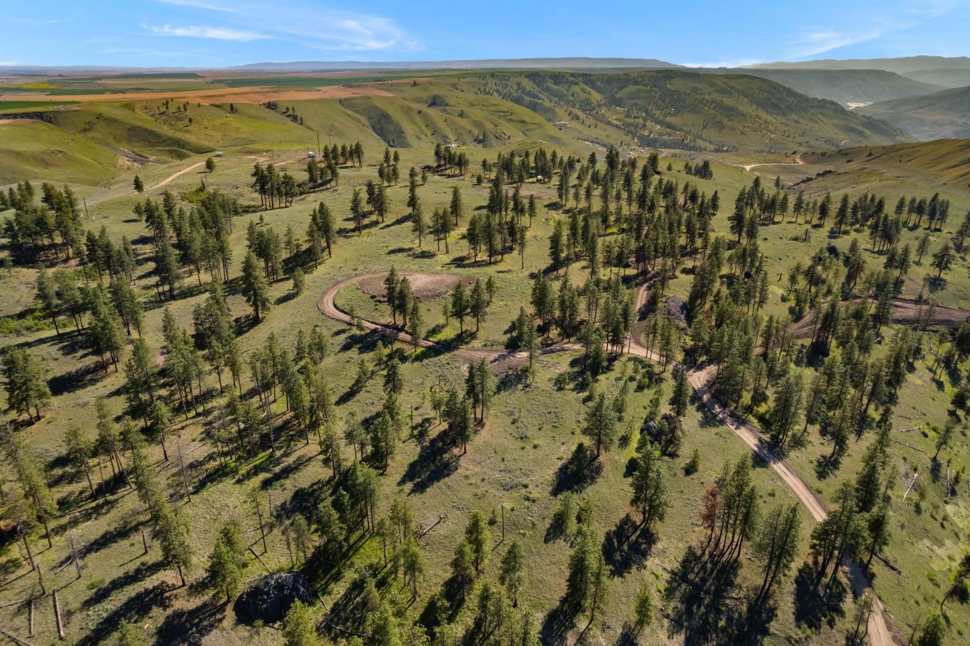 DJI_0579