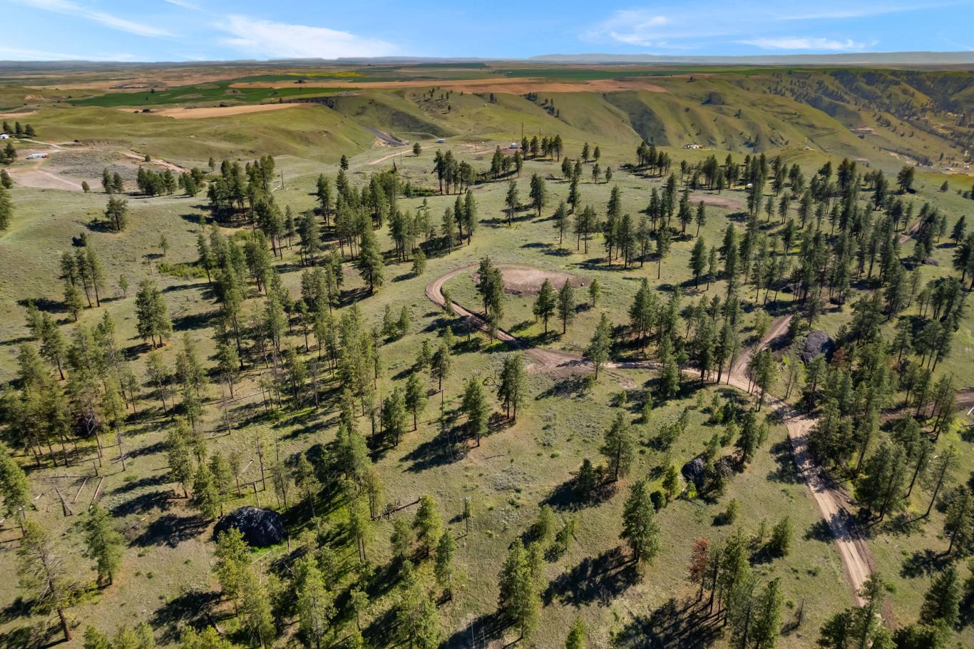 DJI_0580