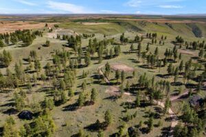 DJI_0581