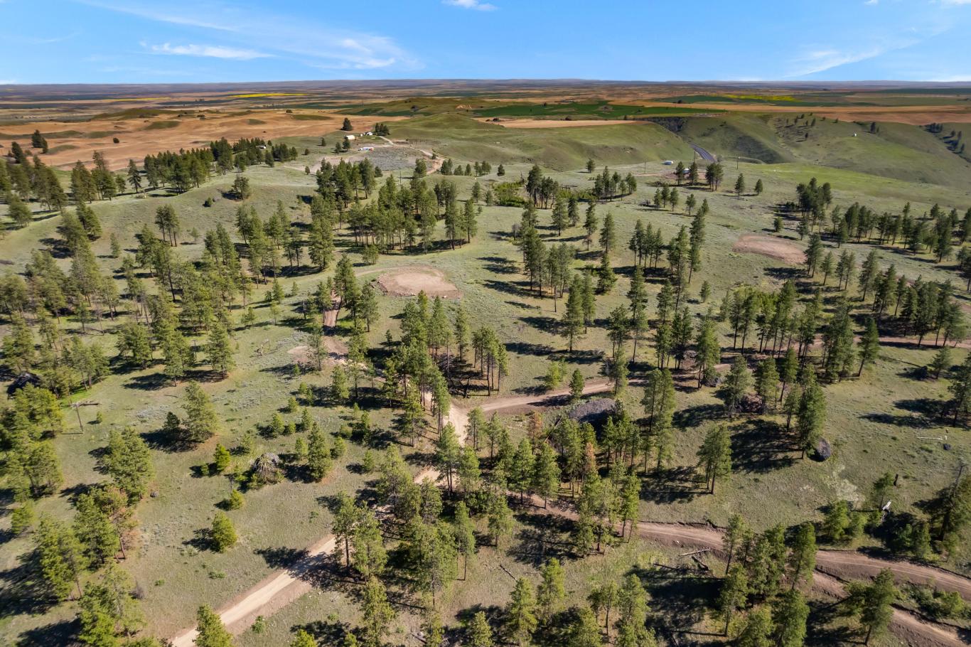 DJI_0582