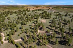 DJI_0583