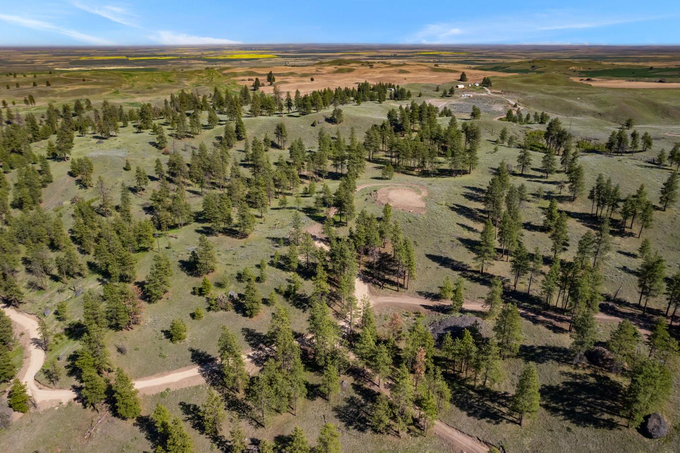 DJI_0583
