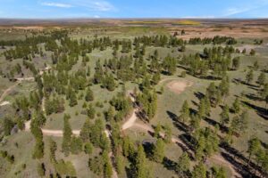 DJI_0584