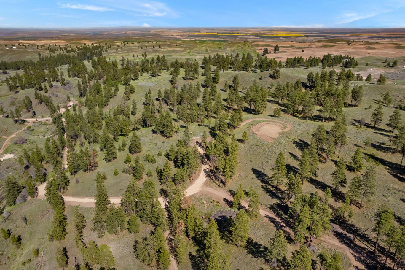 DJI_0584