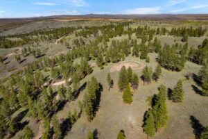 DJI_0585