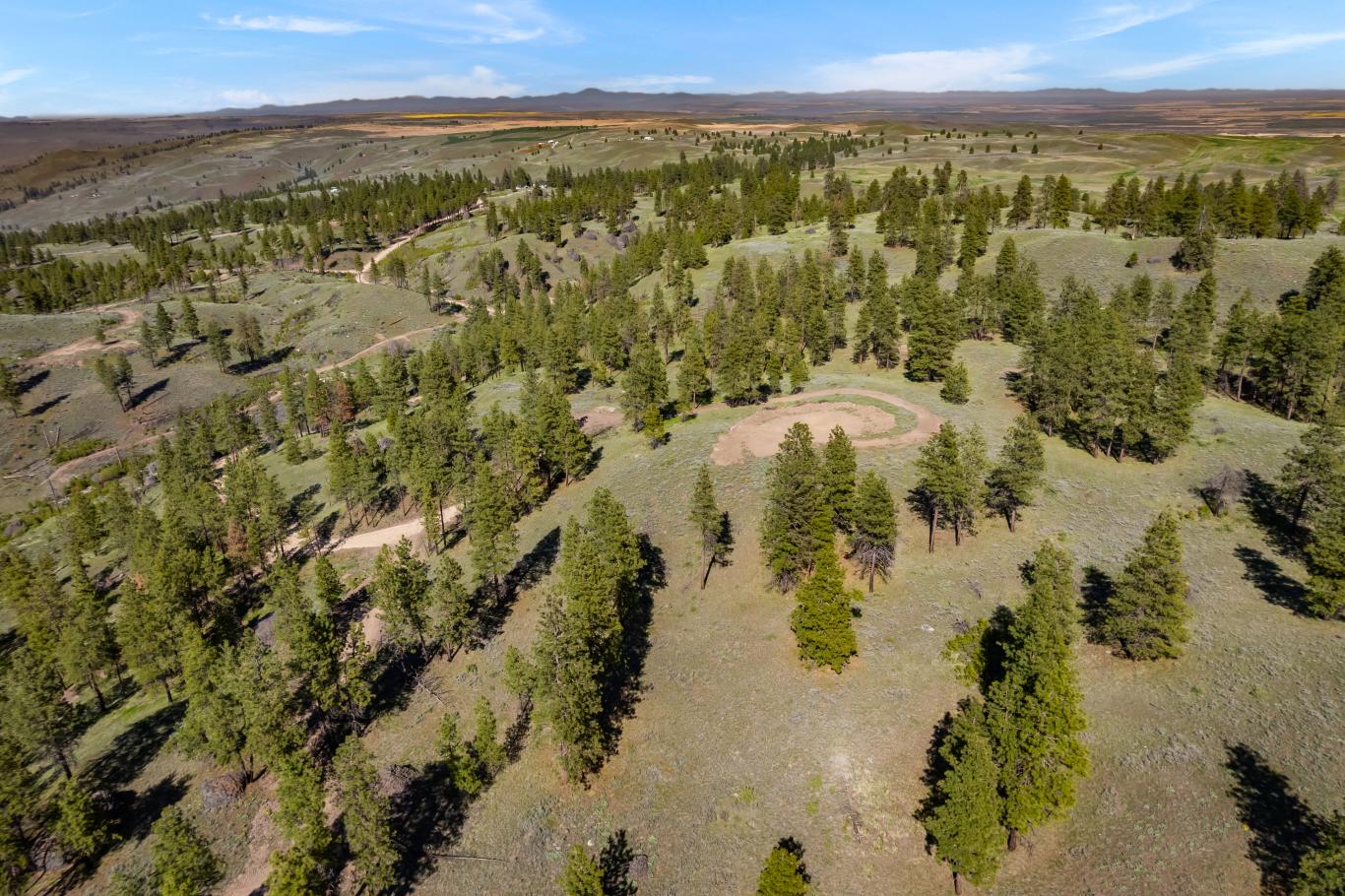 DJI_0585