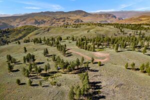 DJI_0590