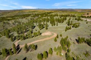 DJI_0593
