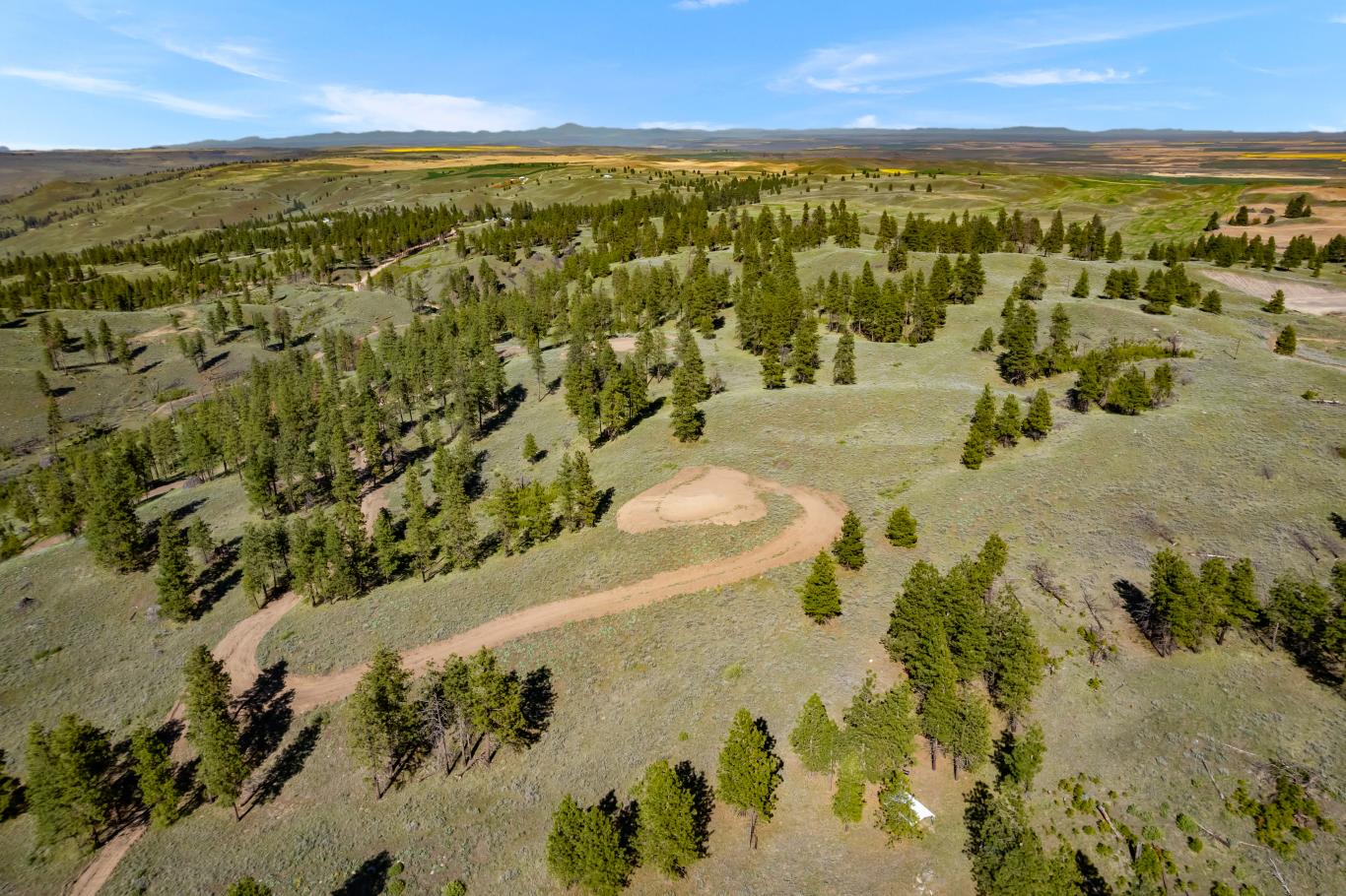 DJI_0593