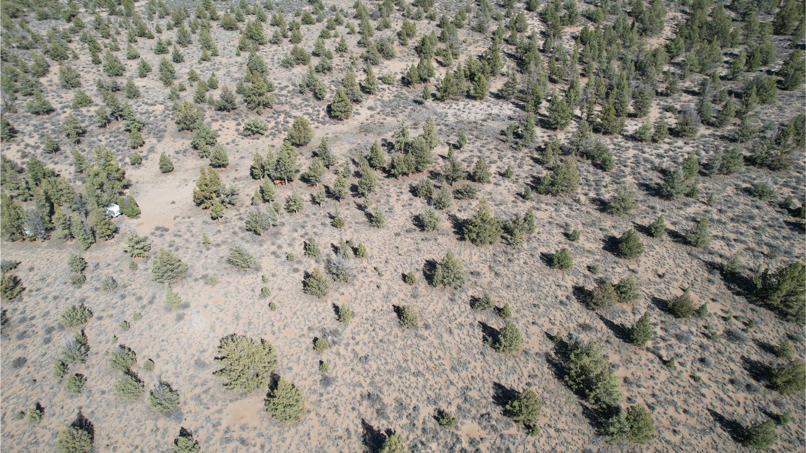 DJI_0804