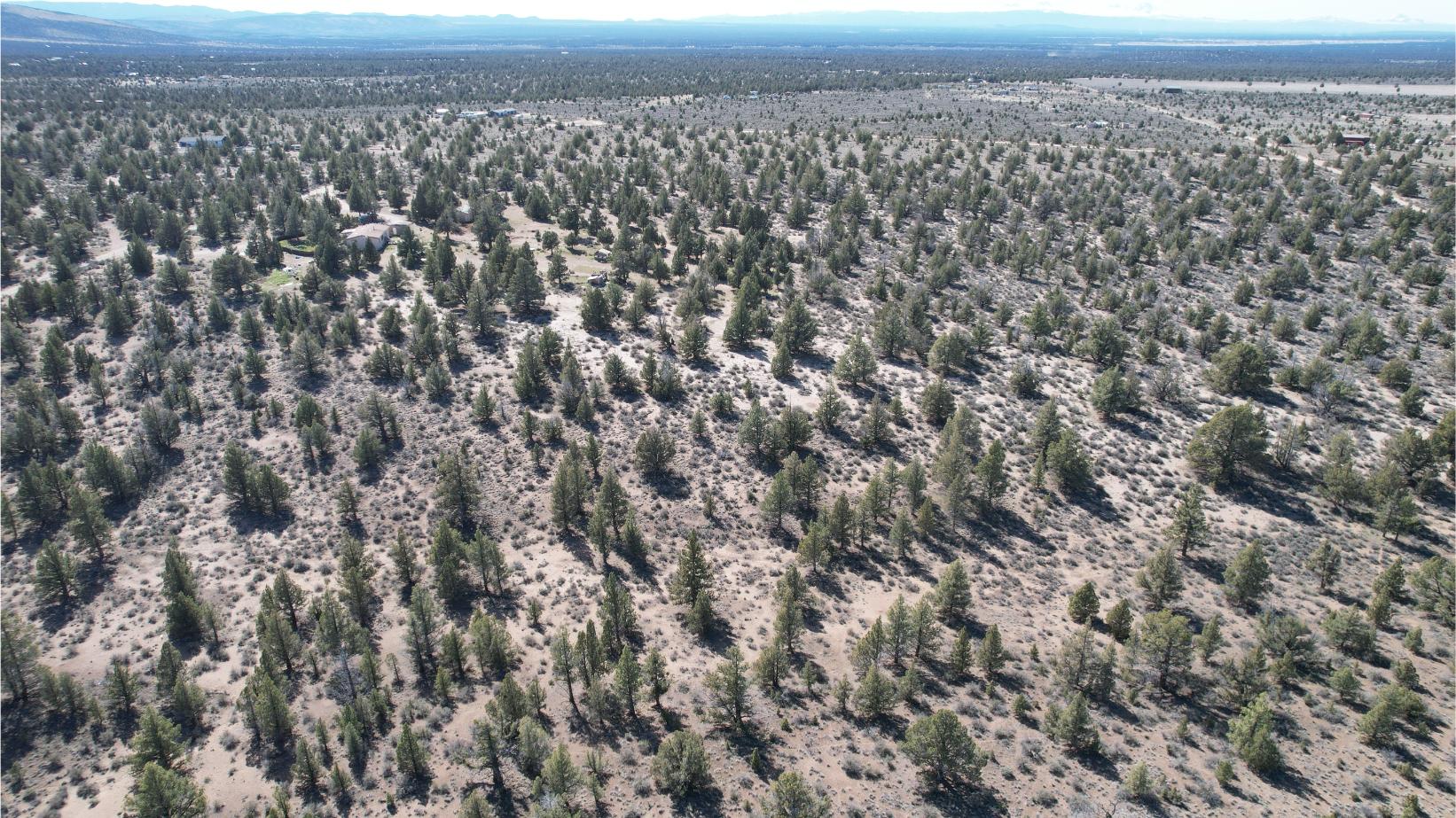 DJI_0810