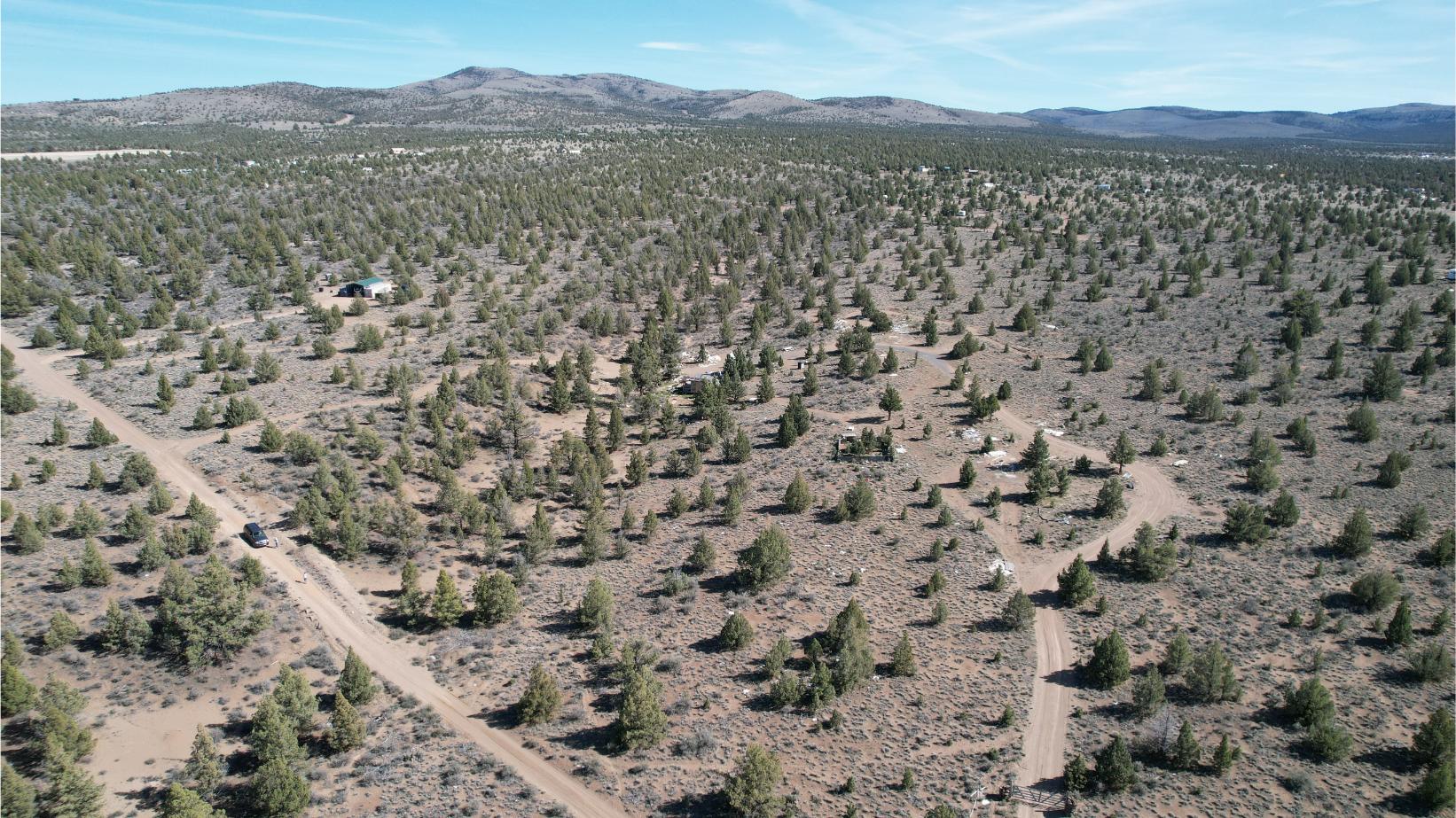 DJI_0812