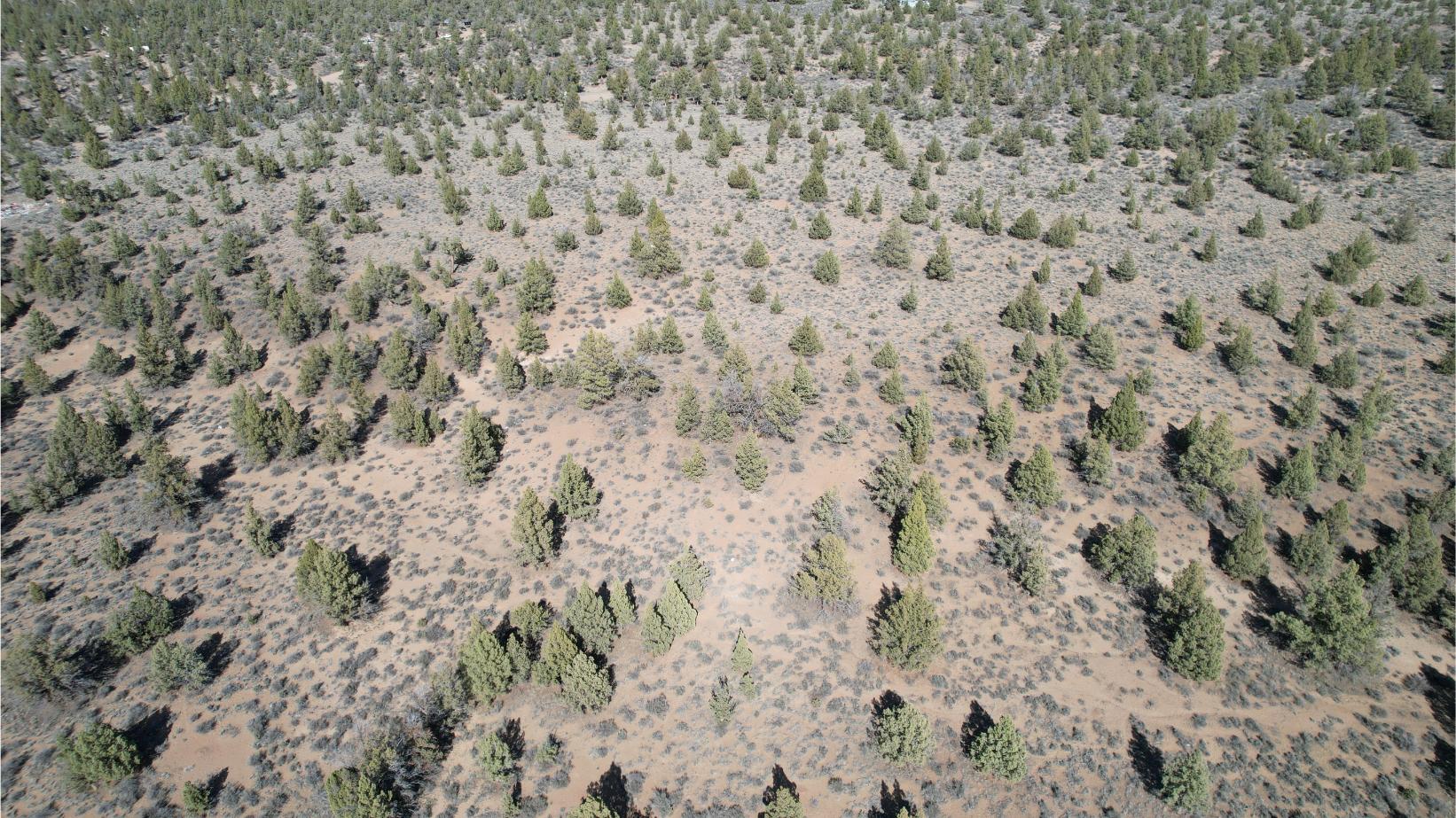 DJI_0820