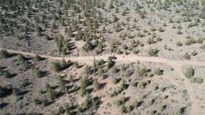DJI_0834