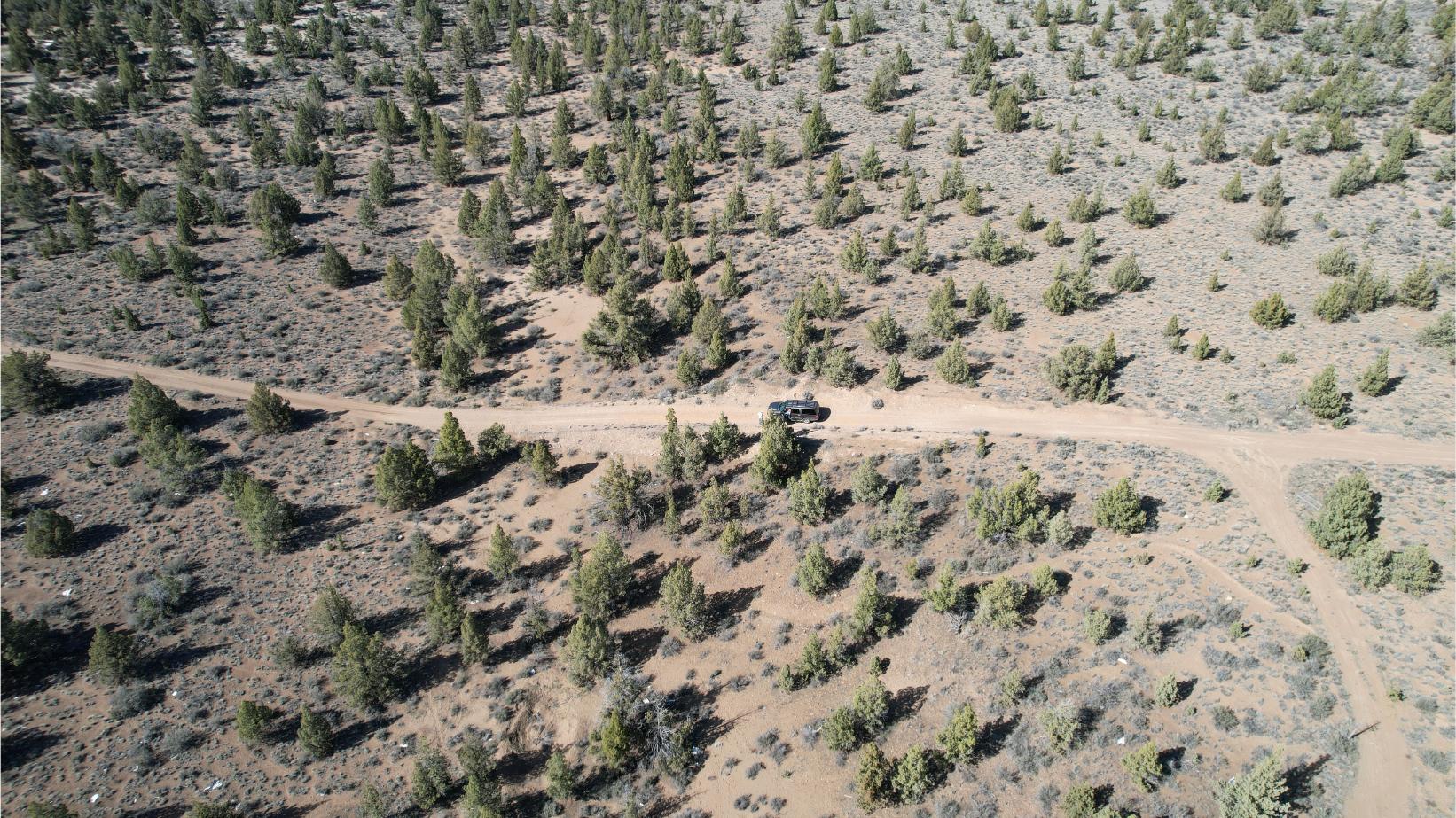 DJI_0834