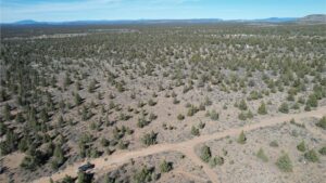DJI_0836