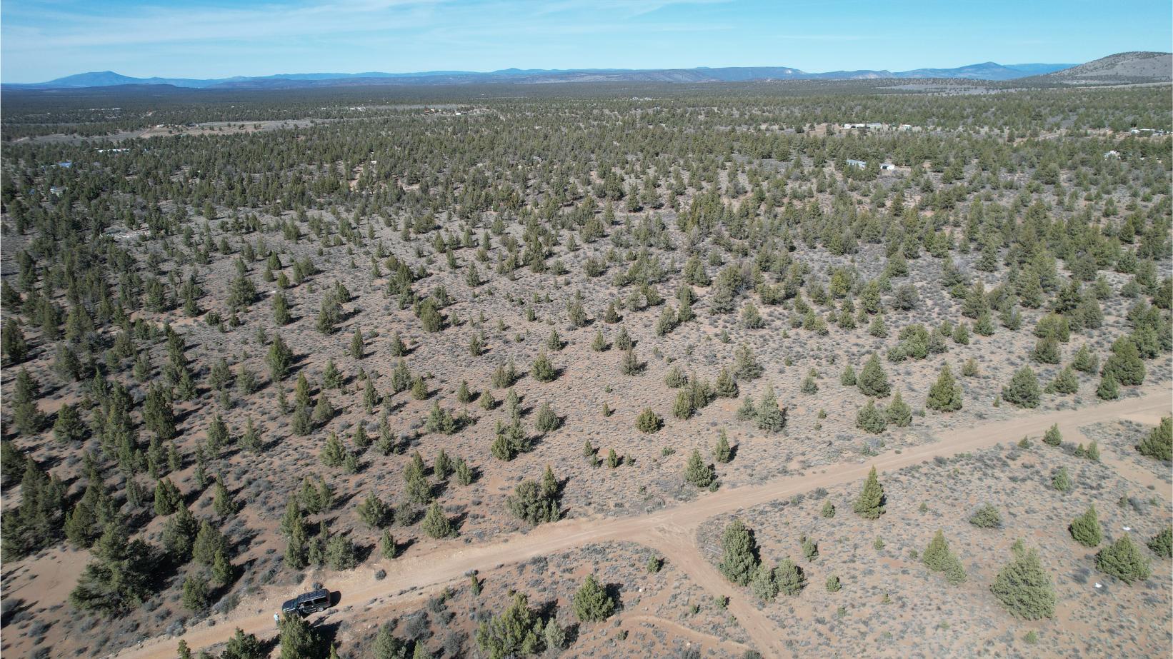 DJI_0836