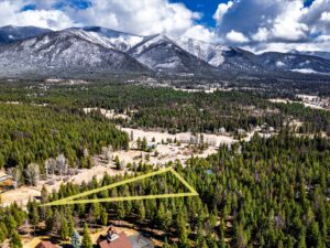 Wilco Licoln Morris Drone-9(1)