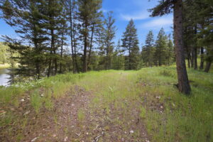 12-web-or-mls-leah-whitney_012