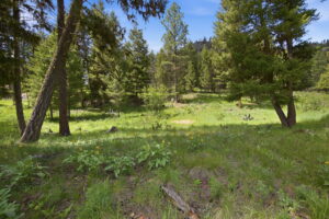14-web-or-mls-leah-whitney_014