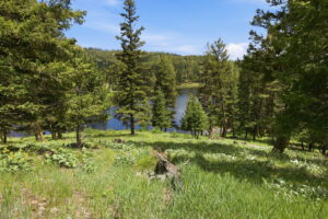15-web-or-mls-leah-whitney_015