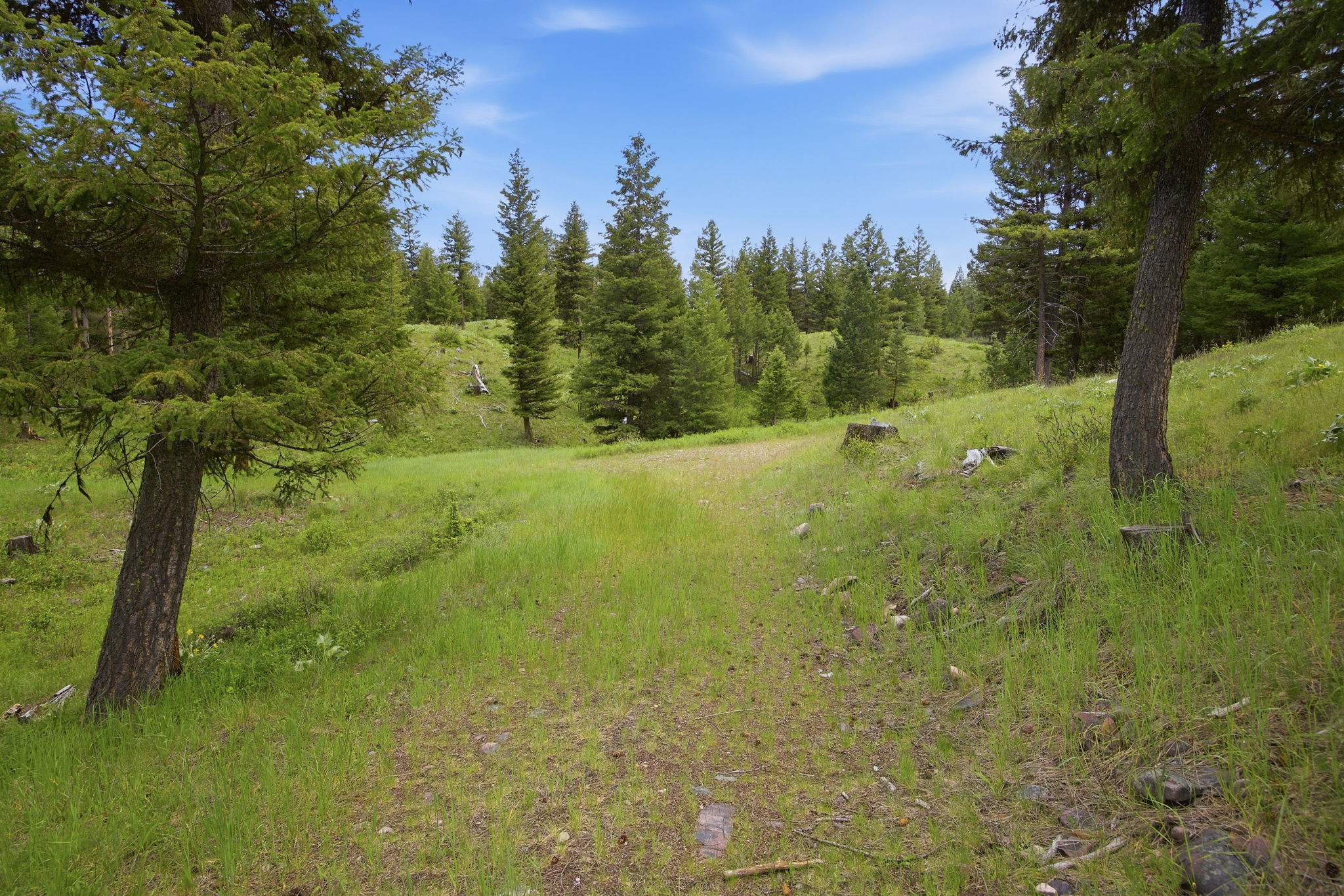 18-web-or-mls-leah-whitney_018