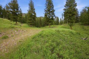 19-web-or-mls-leah-whitney_019