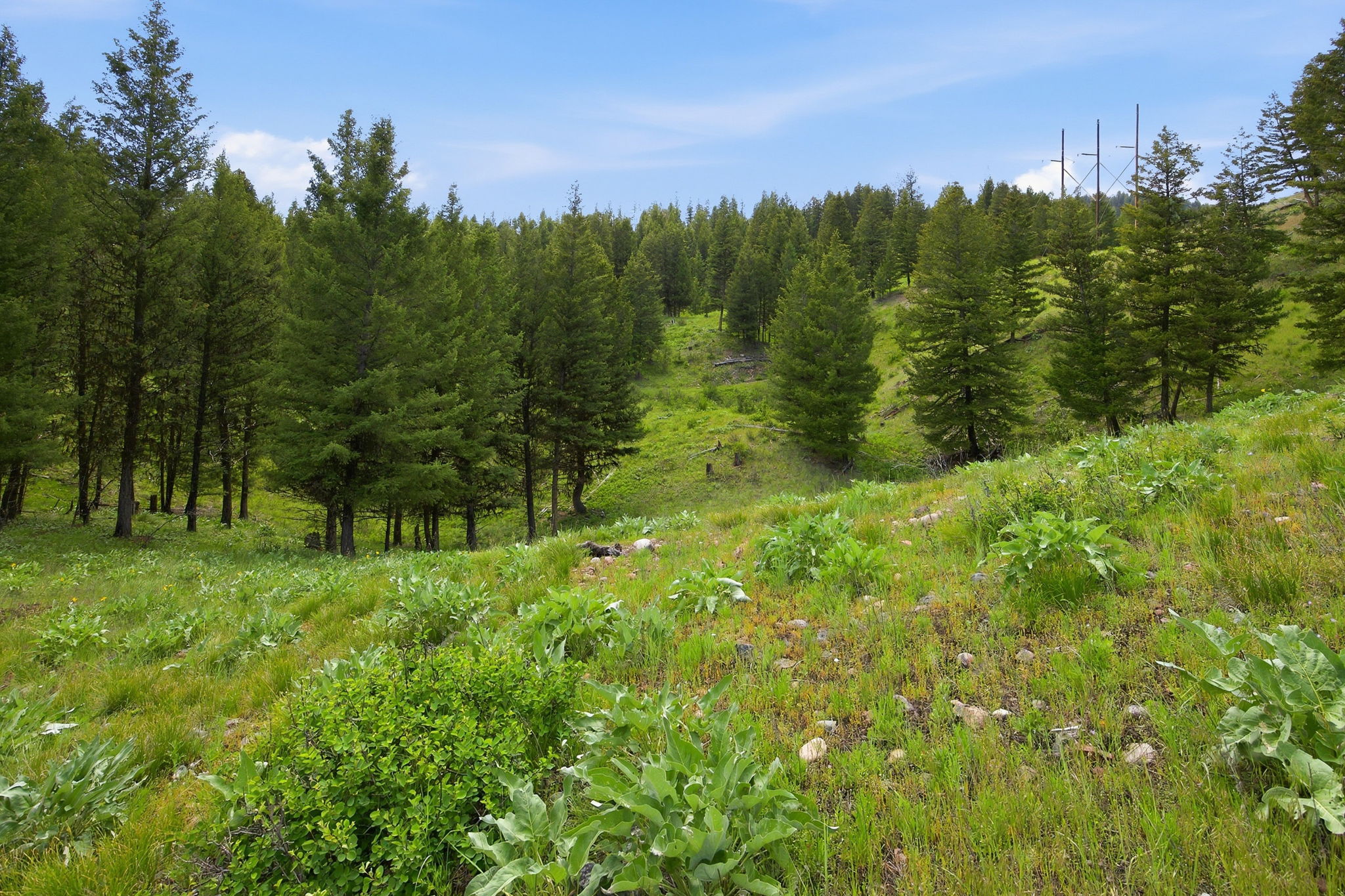 22-web-or-mls-leah-whitney_022