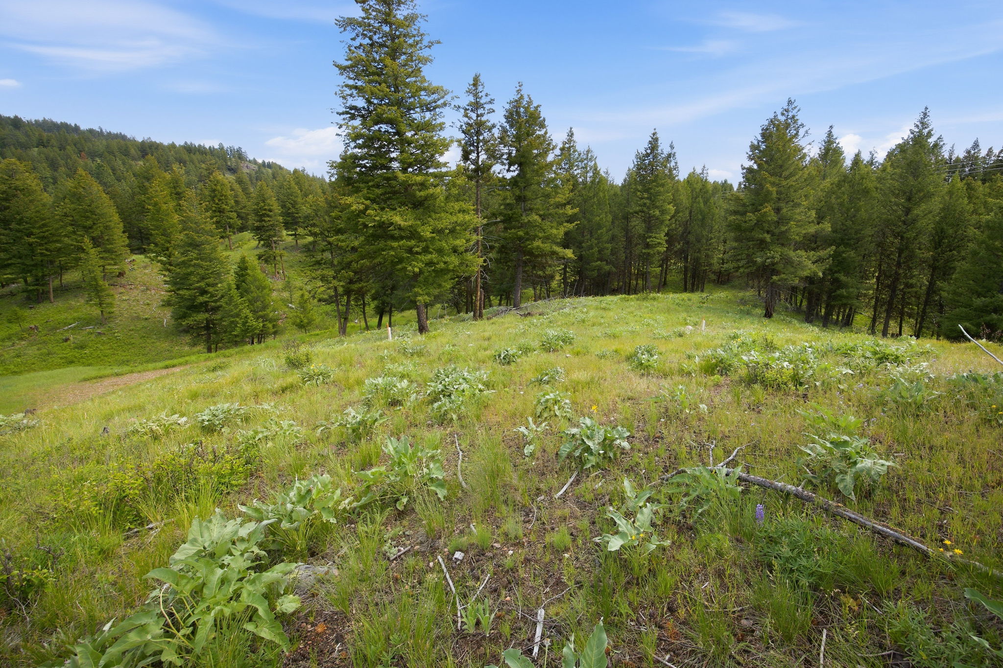 25-web-or-mls-leah-whitney_025