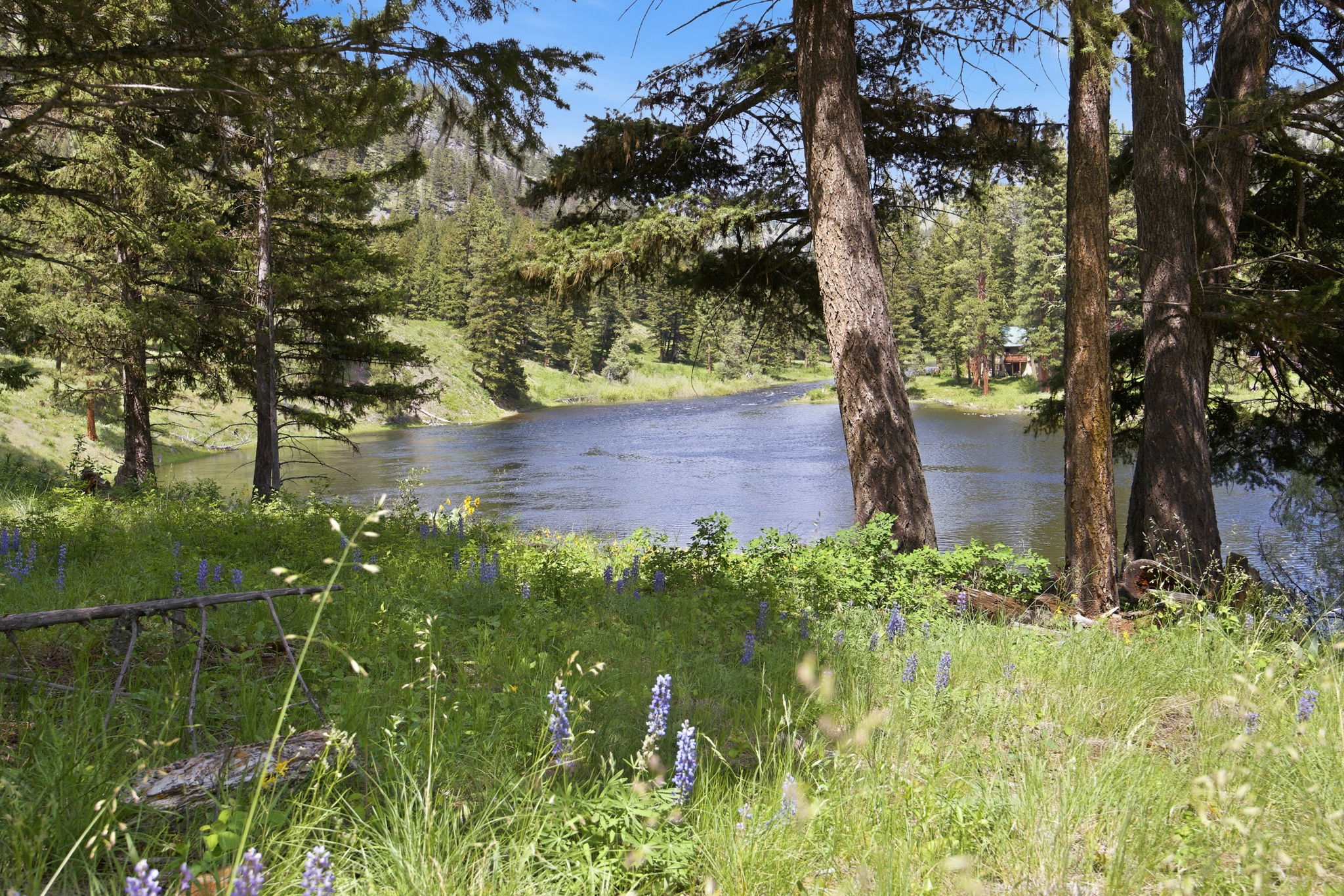 27-web-or-mls-leah-whitney_027