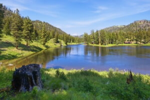 28-web-or-mls-leah-whitney_028