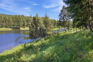 29-web-or-mls-leah-whitney_029