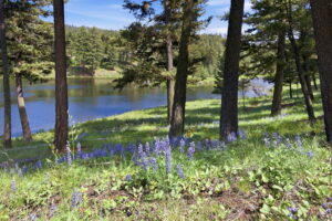 32-web-or-mls-leah-whitney_032